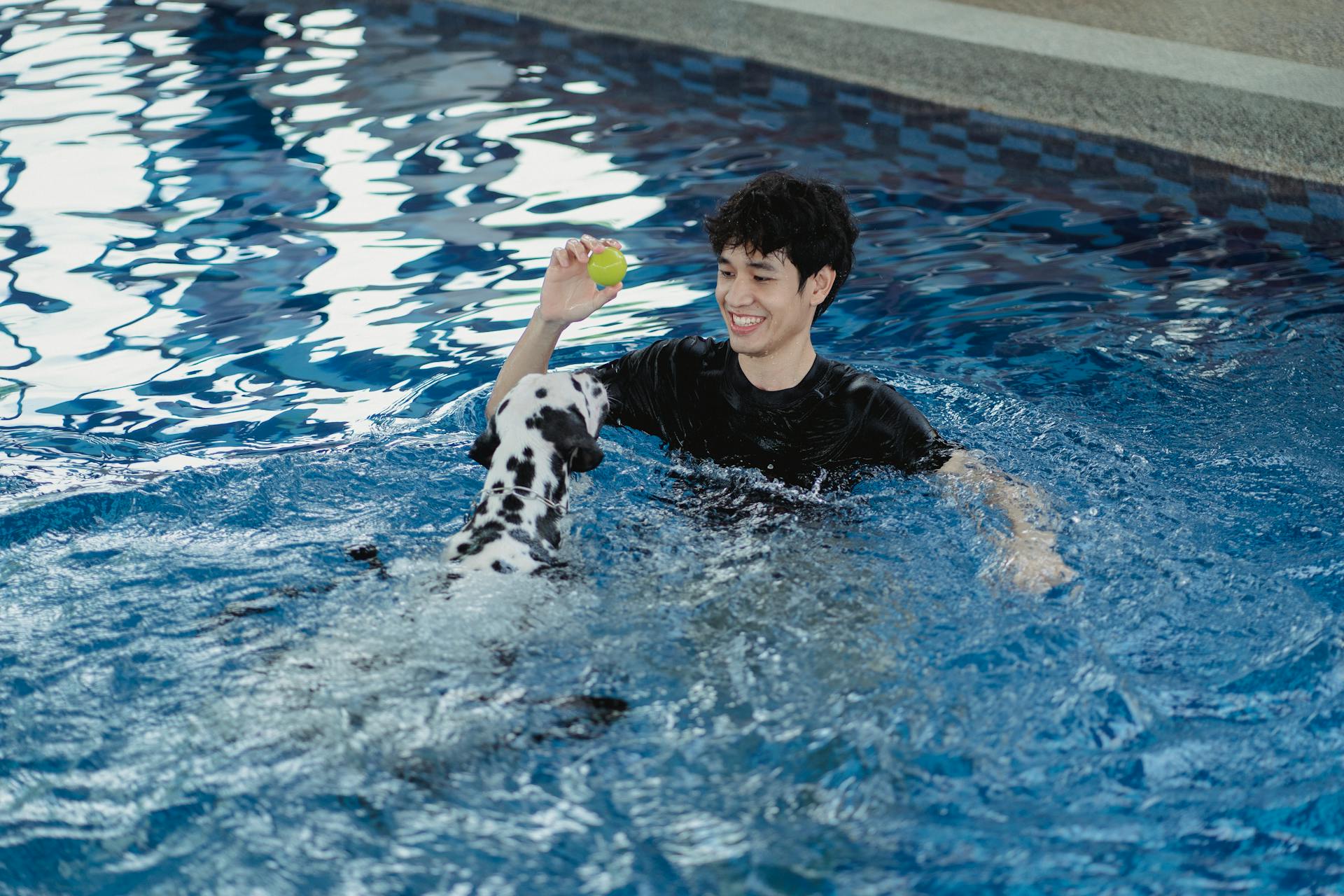 Teenage boy playing with his dog in family swimming pool